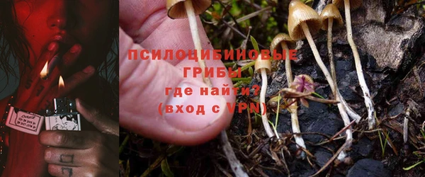 герыч Алексин