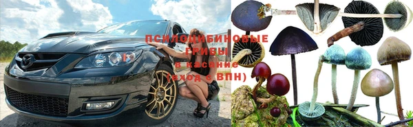 круглые Алзамай