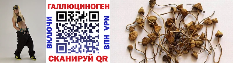 Галлюциногенные грибы Psilocybe  Игарка 